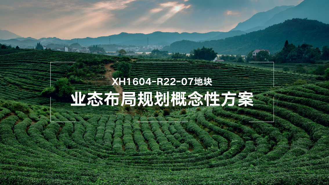 主持龙坞茶镇核心地块业态布局规划概念性方案论证